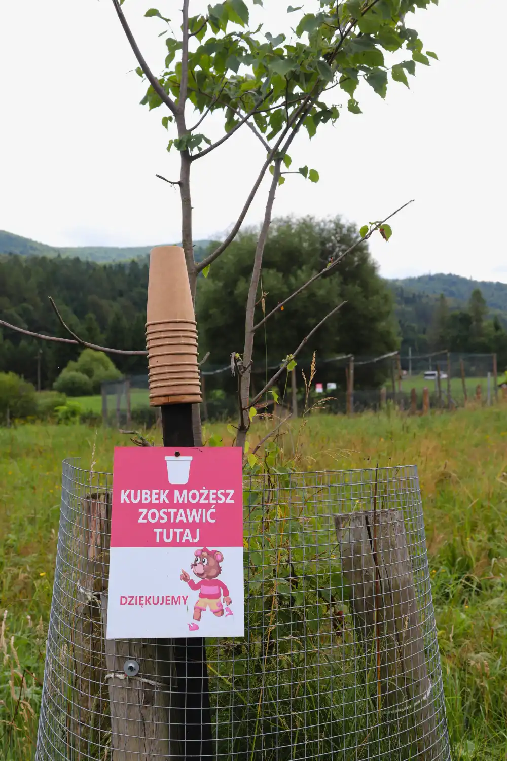 Leśny Zwierzyniec w Lisznej - atrakcja dla dzieci w Bieszczadach